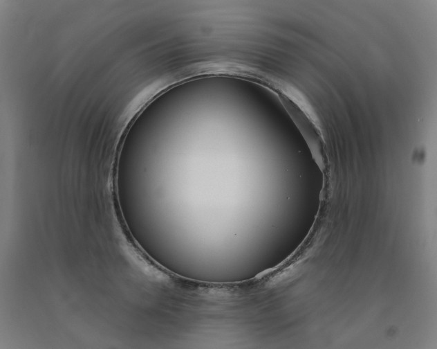 X0000091990946200709271445