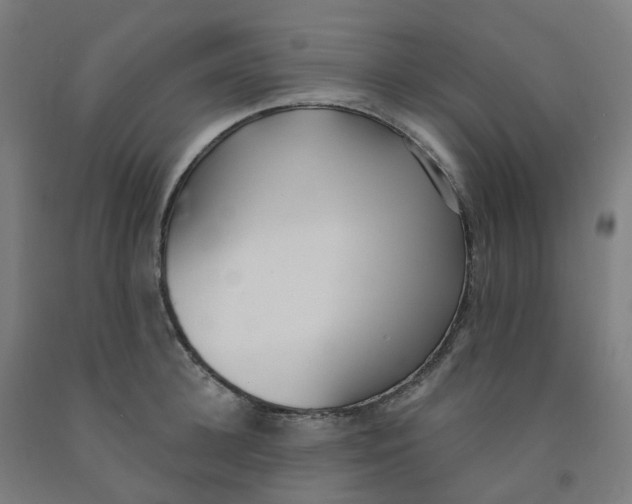 X0000091990948200709271445