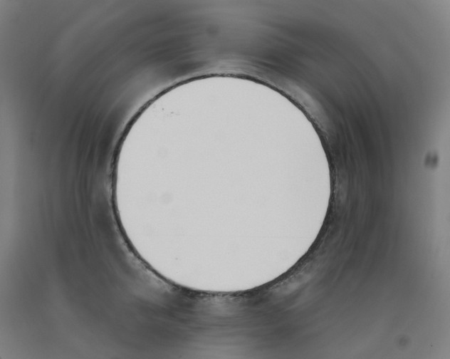 X0000091990950200709271445