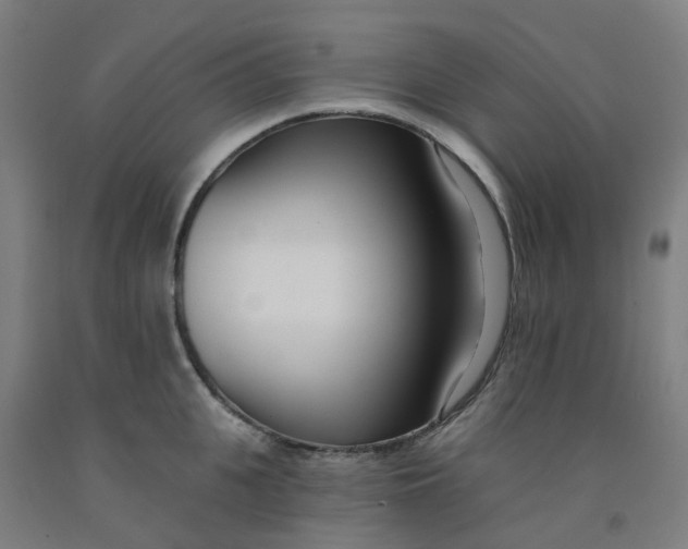 X0000091990951200709271445