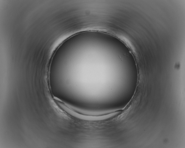 X0000091990952200709271445