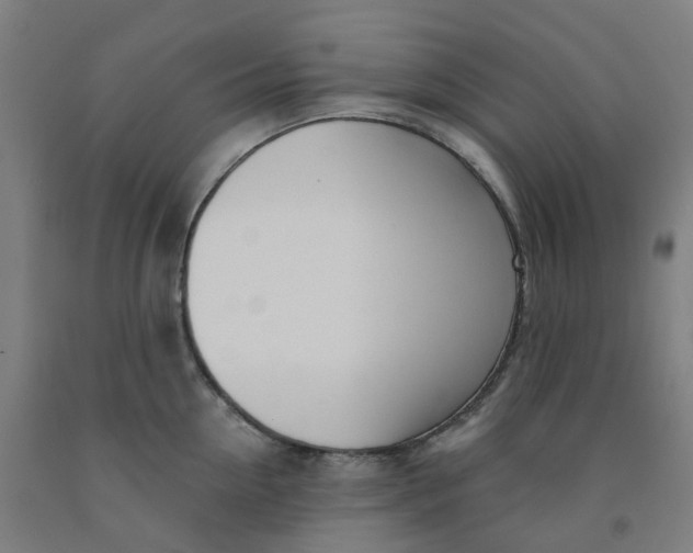 X0000091990954200709271445