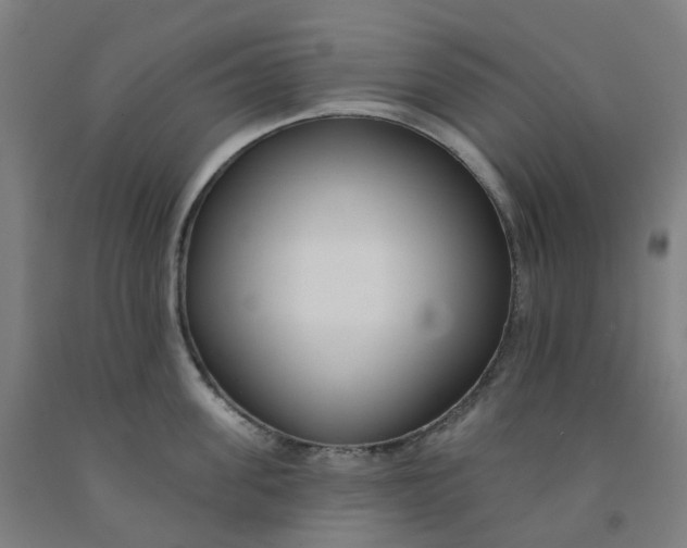 X0000091990955200709271445