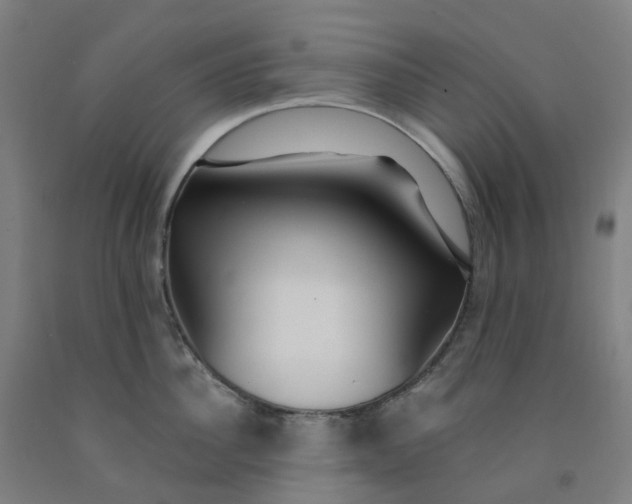 X0000091990956200709271445