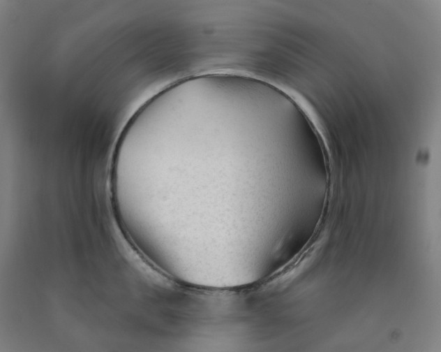 X0000091990957200709271445