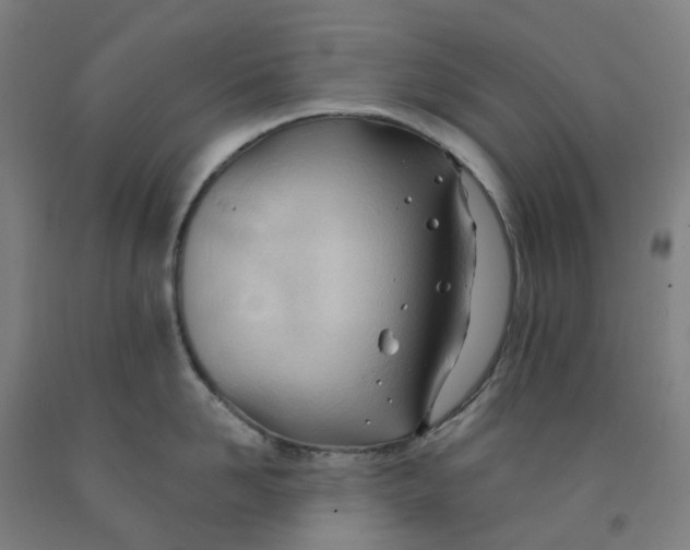 X0000091990958200709271445