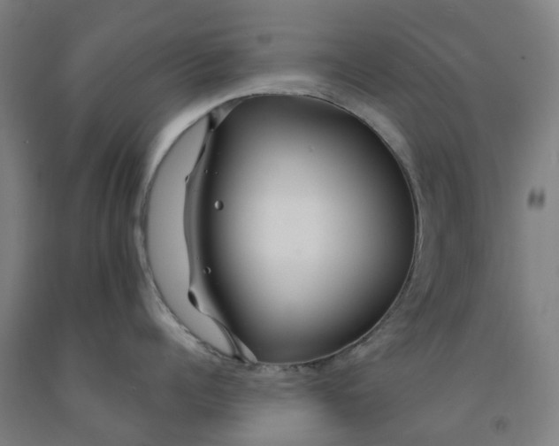 X0000091990960200709271445