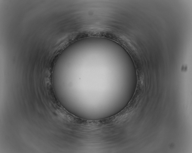 X0000091990964200709271444