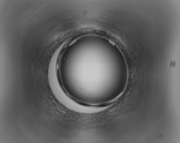 X0000091990965200709271444