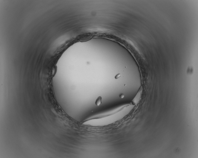 X0000091990967200709271444