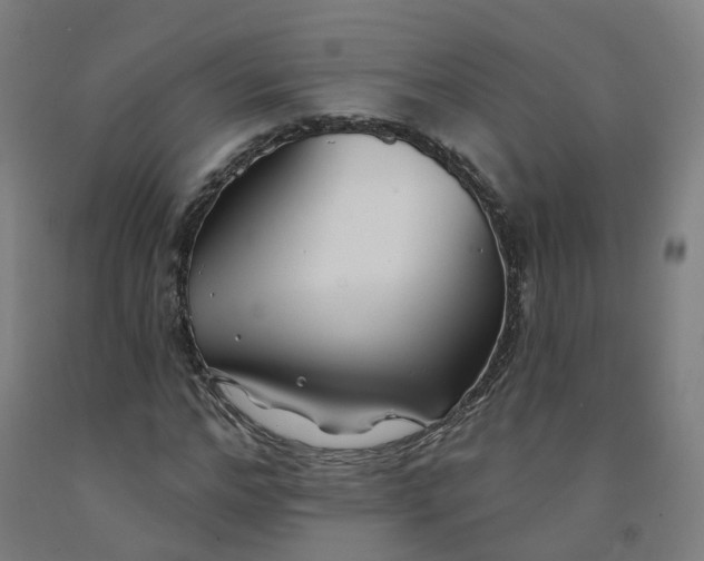 X0000091990968200709271444