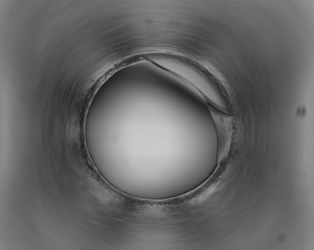 X0000091990969200709271444