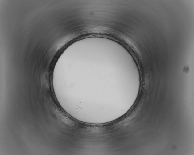 X0000091990970200709271444