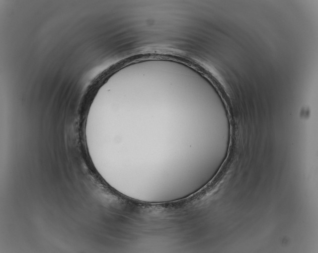 X0000091990971200709271444