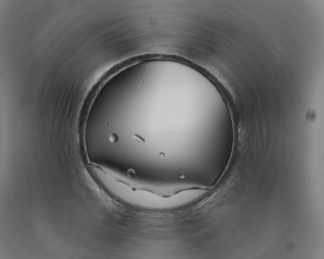 X0000091990972200709271444