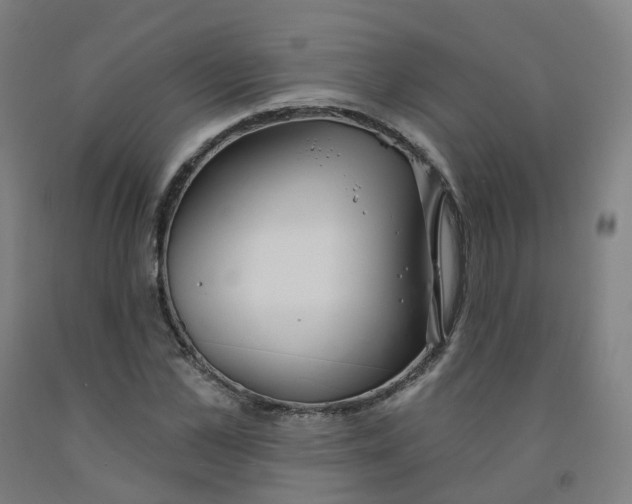 X0000091990973200709271444