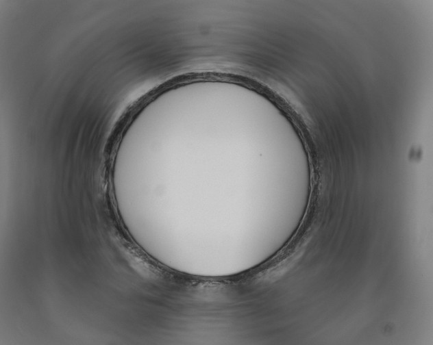 X0000091990974200709271444