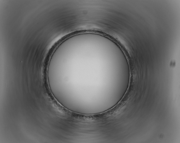 X0000091990975200709271444