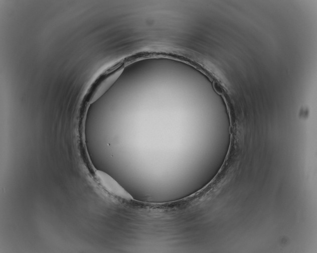 X0000091990976200709271444