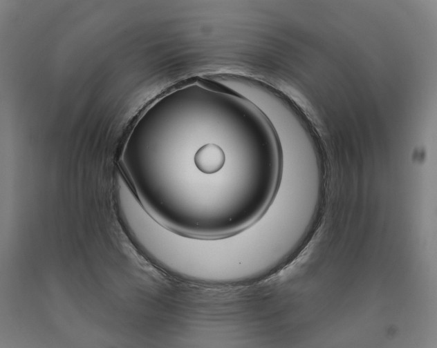 X0000091990977200709271444