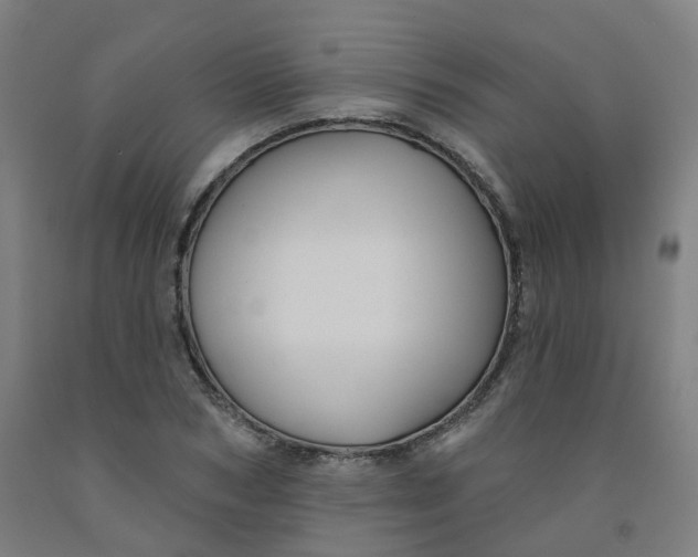 X0000091990978200709271444