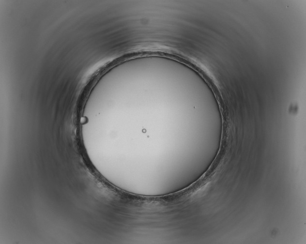 X0000091990979200709271444