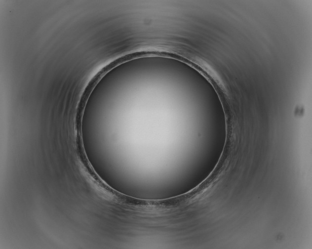 X0000091990980200709271444