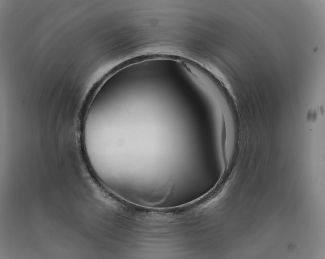 X0000091990981200709271444