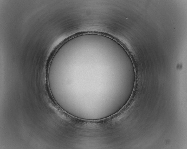 X0000091990982200709271444