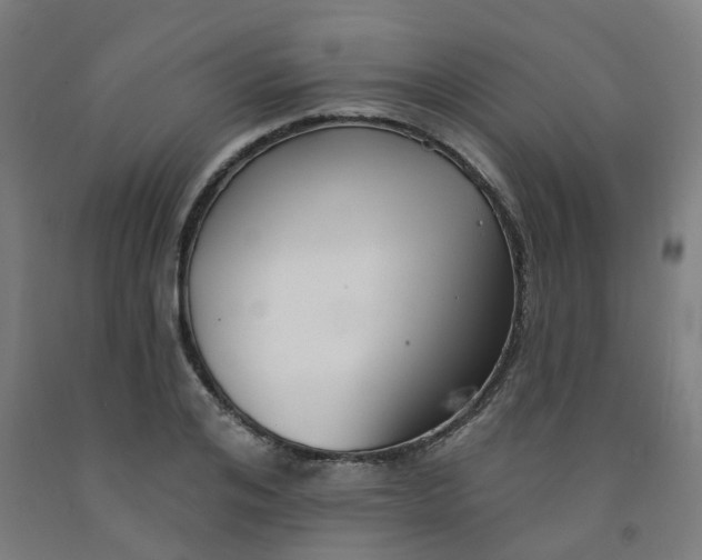 X0000091990984200709271444