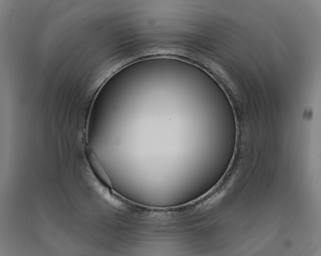 X0000091990985200709271444