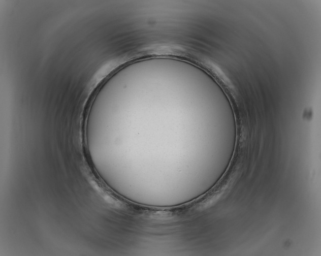 X0000091990986200709271444