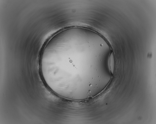 X0000091990987200709271444