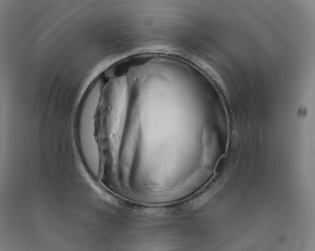 X0000091990989200709271444