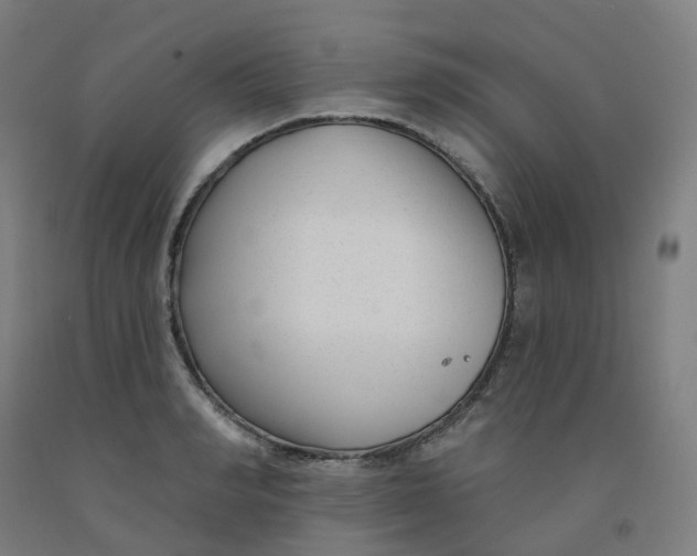 X0000091990990200709271444