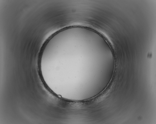 X0000091990991200709271444