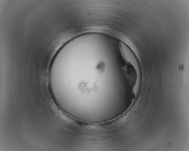 X0000091990994200709271444