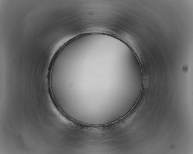 X0000091990995200709271444