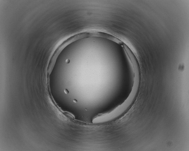 X0000091990996200709271444