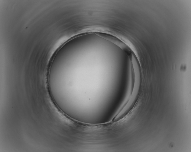 X0000091990997200709271444