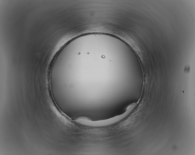 X0000091990998200709271444