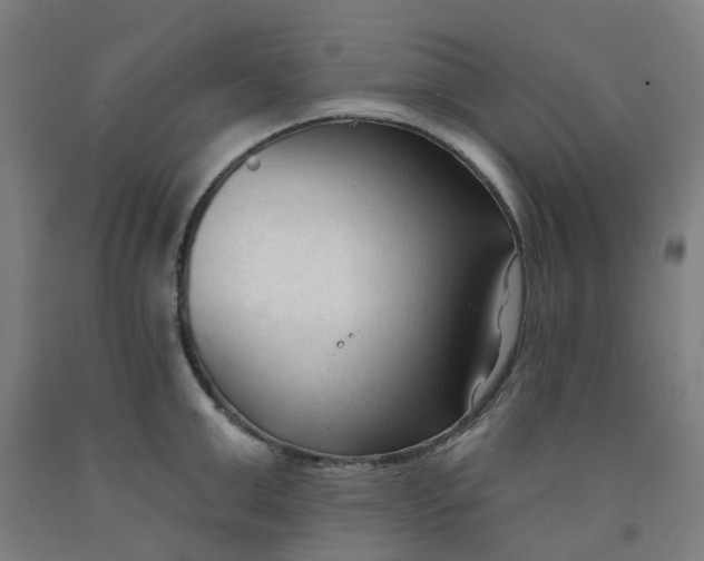 X0000091990999200709271444