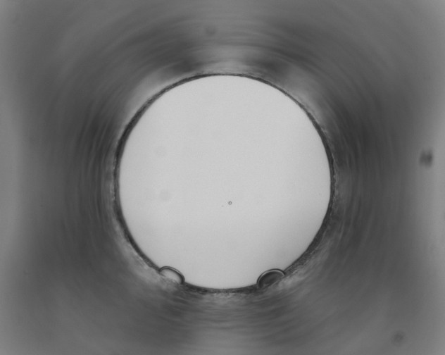 X0000091991000200709271444