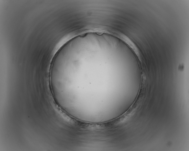 X0000091991002200709271444