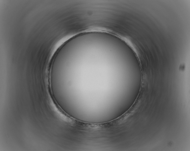 X0000091991003200709271444