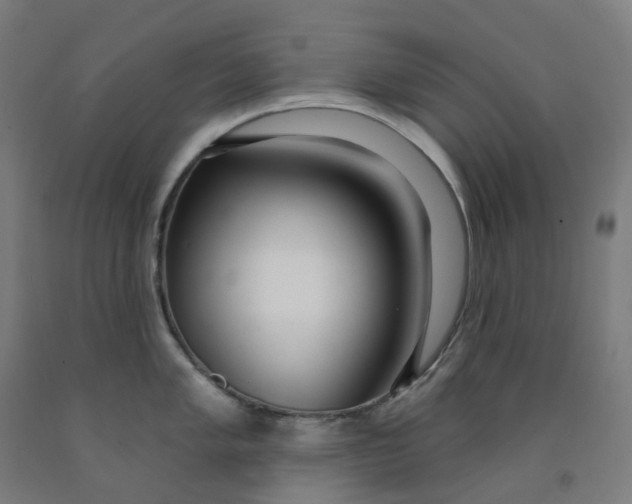 X0000091991005200709271444