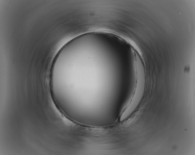 X0000091991007200709271444