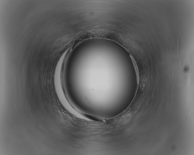 X0000091991010200709271443