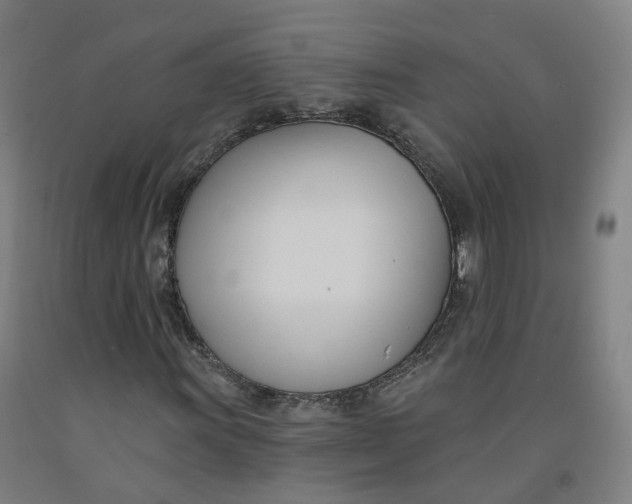 X0000091991011200709271443