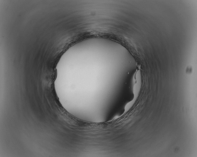 X0000091991012200709271443